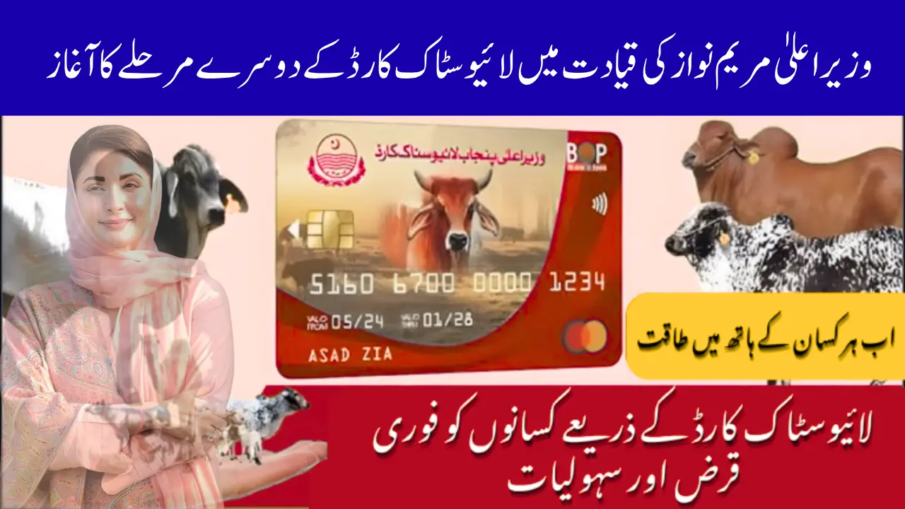 Brilliant Start The Chief Minister Of Punjab Second Phase Of The Livestock Card Scheme 2025