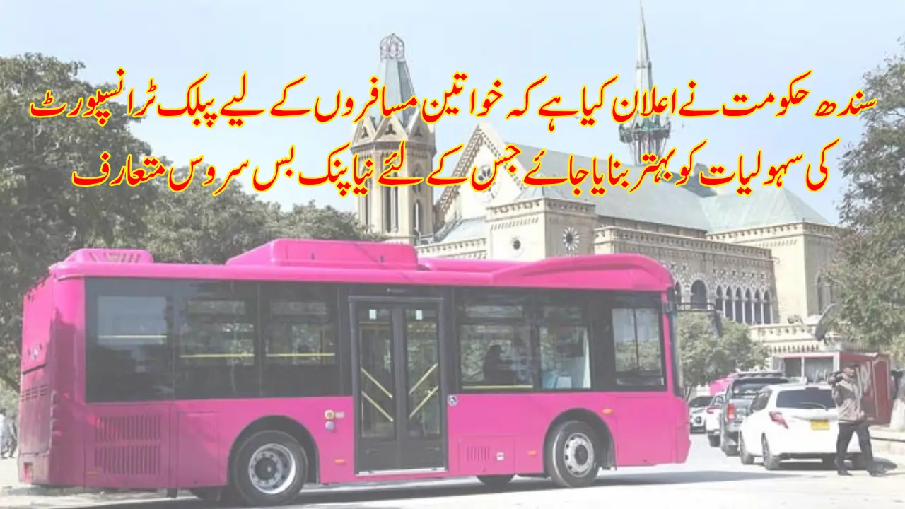 Pink Bus Route Now Operational in Sindh Schedule & Stops