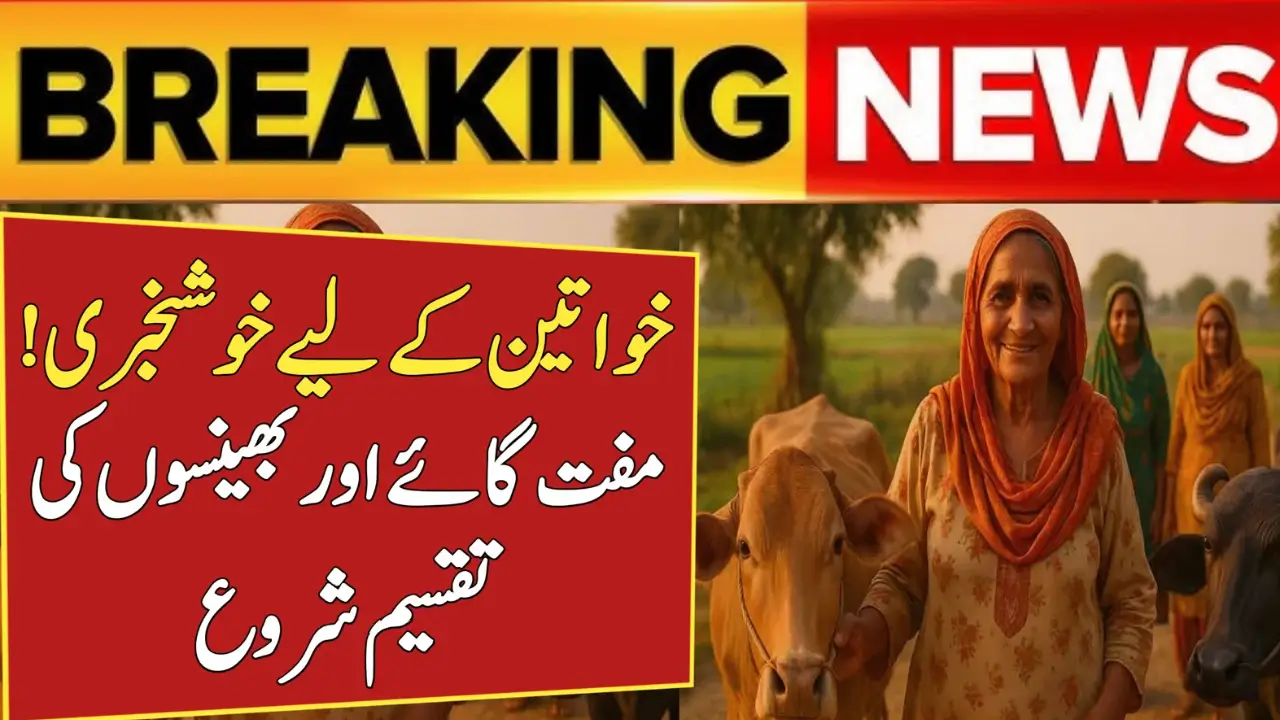 Punjab Govt Extends Application Deadline for CowBuffalo Program for Widows & Divorced Women